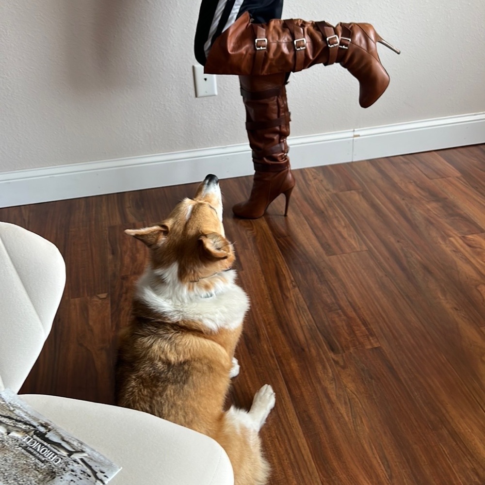 BCBGeneration Thigh High heels, brown leather